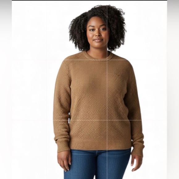Hollister Sweaters - Hollister Women's Brown Crew Neck Sweater